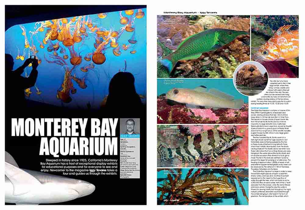 1AL-Monterery Bay Aquarium.jpg