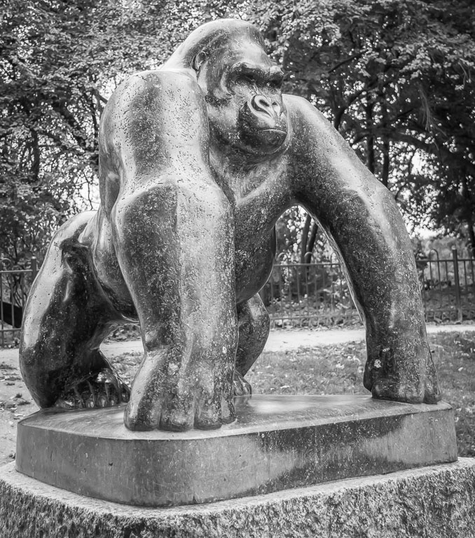 20171013 7D2 0029 Gorilla at Crystal Palace Park.jpg