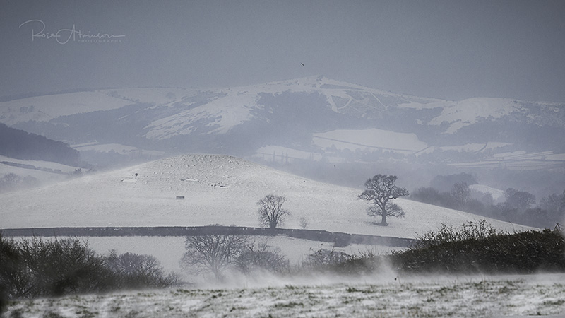 Snowy peak (web).jpg