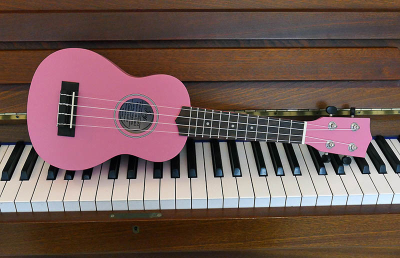 S14-The Pink Ukele.jpg