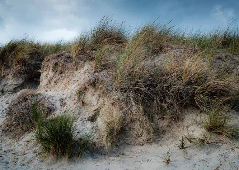 East Head Sand Dune.jpg