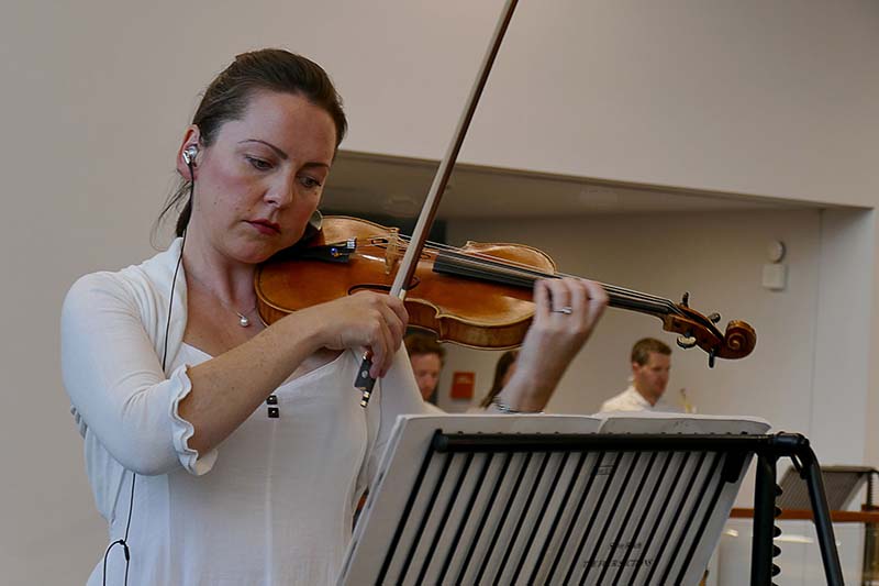 S40-First Violinist - Anatomy of the Orchestra.jpg