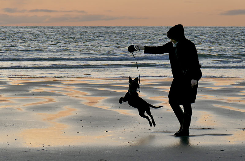 S43cx-Playful Dog with setting Sun Sky.jpg