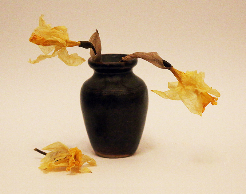 3S - Wabi Sabi - Daffodils fading into ART.jpg