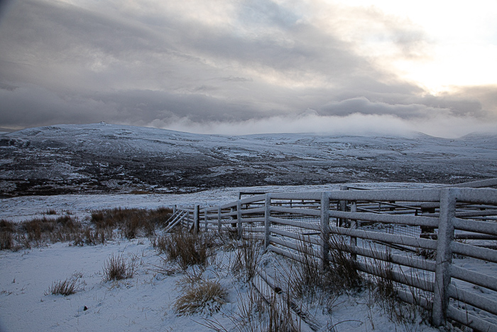 Snowy Skye 2.JPG