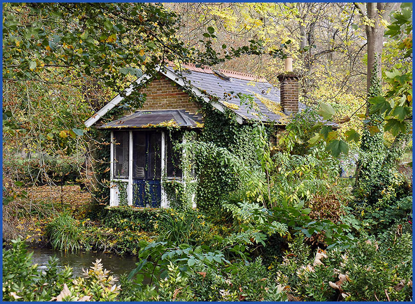 1- Overgrown Cottage  P1770093 More2.jpg