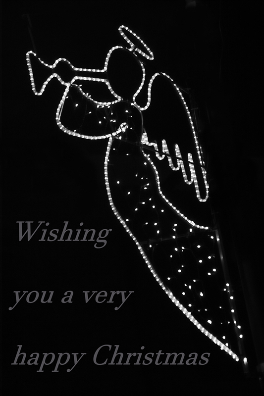 Christmas Angel IMG_3484-01.jpg