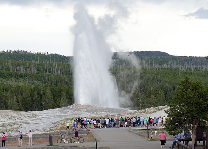 3B x Sh Ton-Old Faithful P1060001 800.jpg