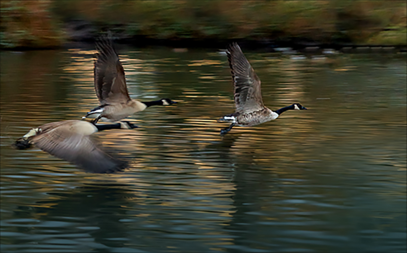 Sunset Takeoff.jpg