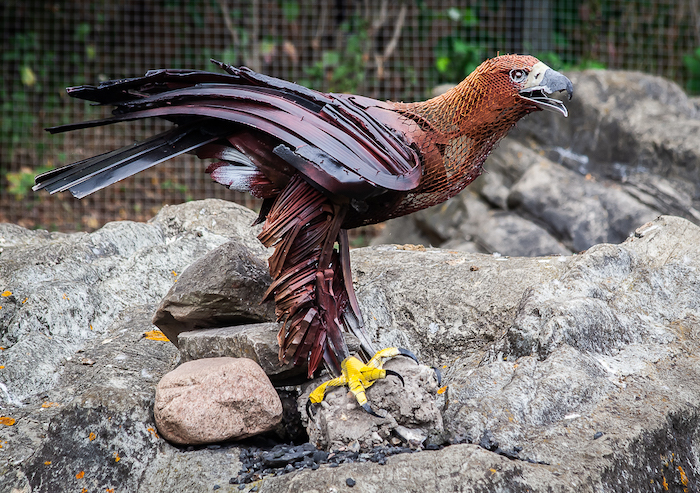 20090705 0135 Kevin Herlihy's Golden Eagle.jpg