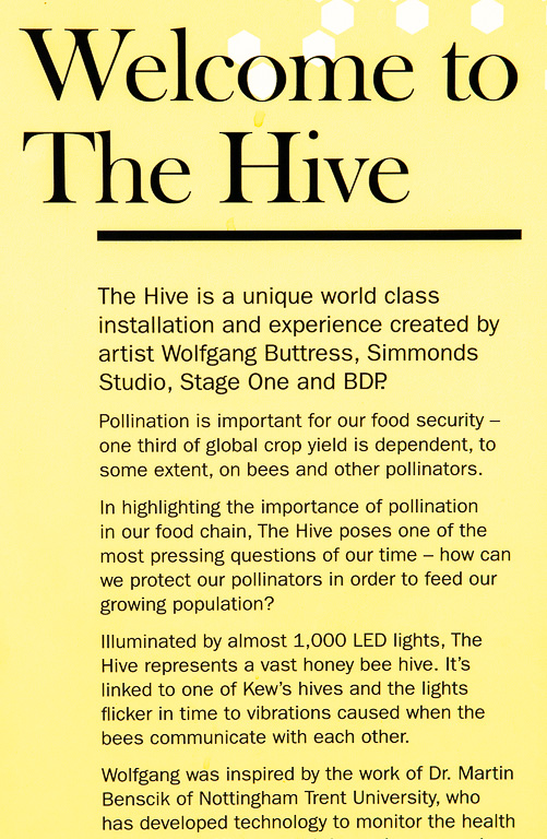 20160815 7D2 0030 The Hive.jpg