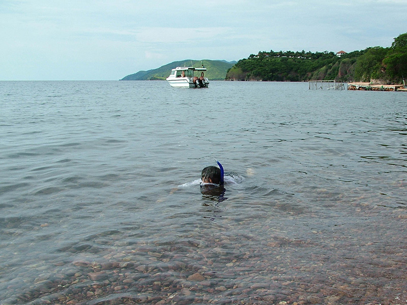 1-Snorkelling in Lake Tanganyika 800.jpg