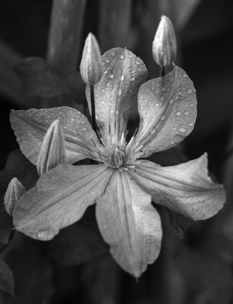 IMG_0178-Edit-Edit CC.jpg