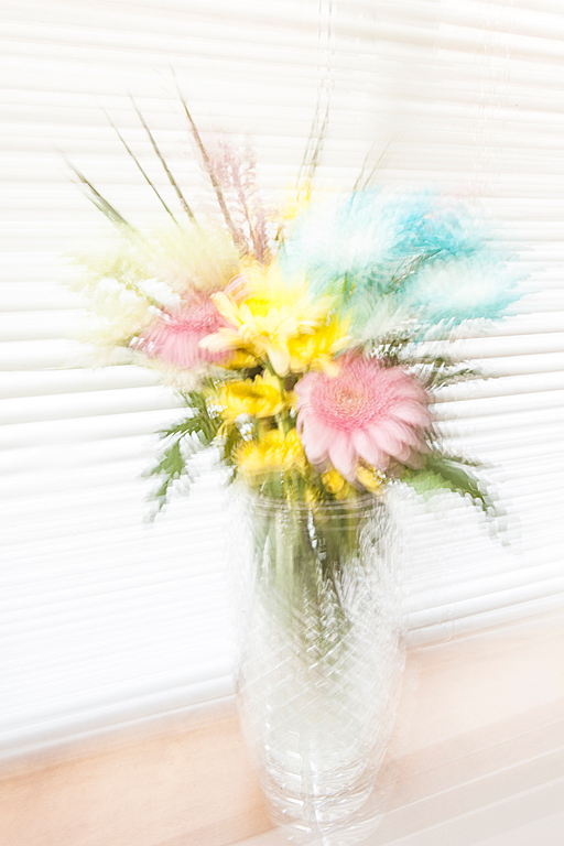 Flower-explosion-2-(web).jpg