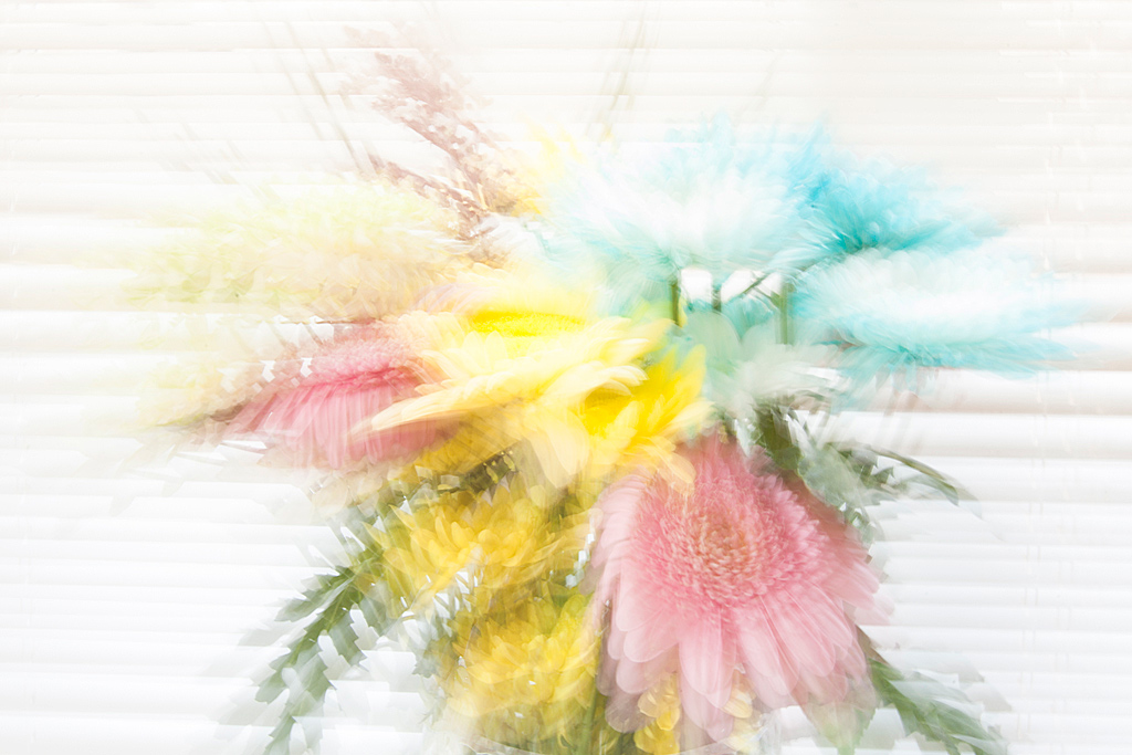 Flower-explosion-3-(web).jpg