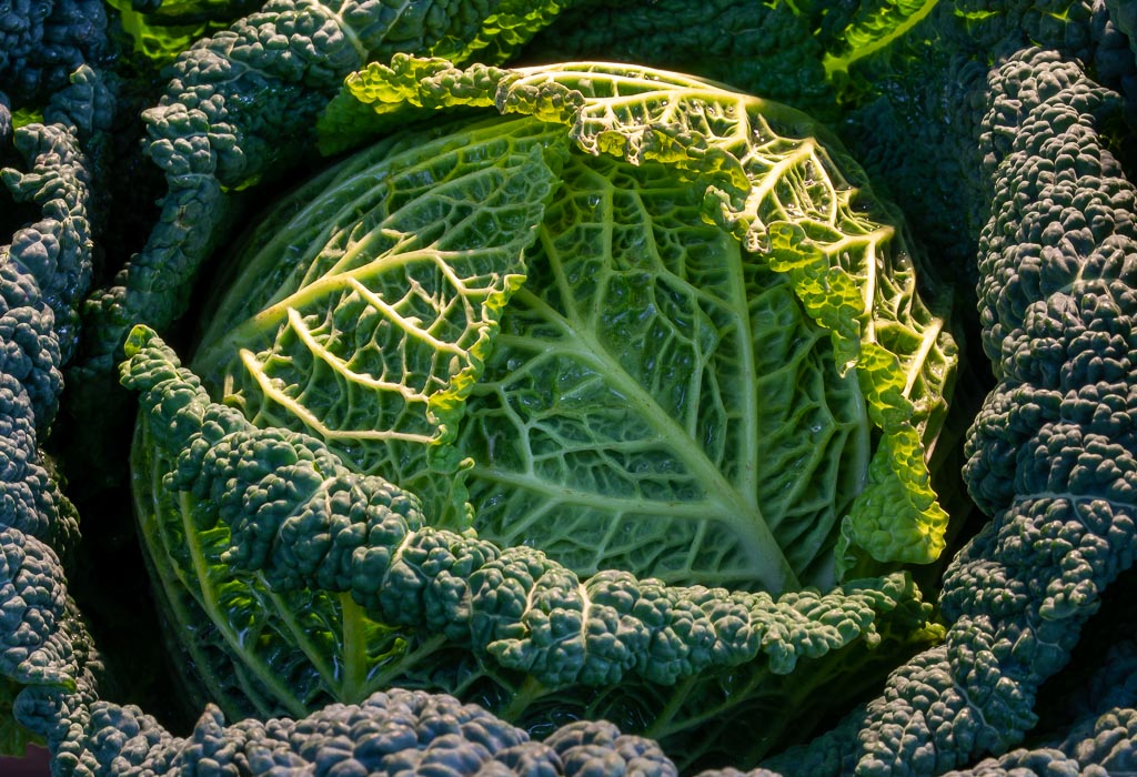 Savoy Cabbage for Dinner (1 of 1).JPG