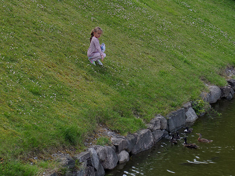 2 Feeding Ducks at Castle Moat.jpg