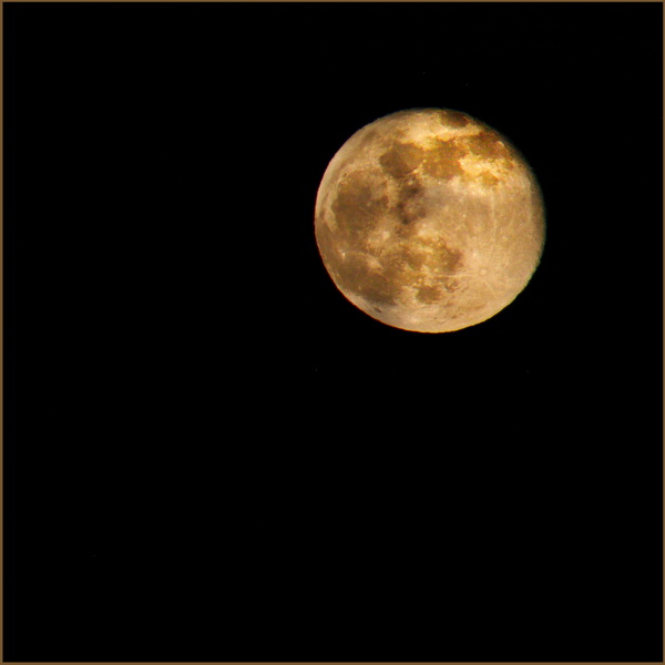 Worm moon IMG_9445.jpg