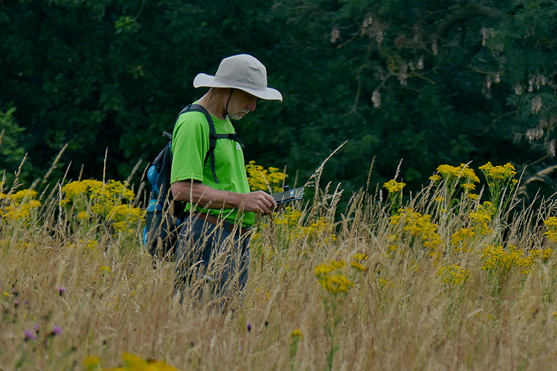 1-Mobile phone in Wild Meadow Levels Sh P1800529 800.jpg