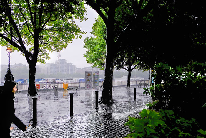 Waterloo in the rain 3.jpg