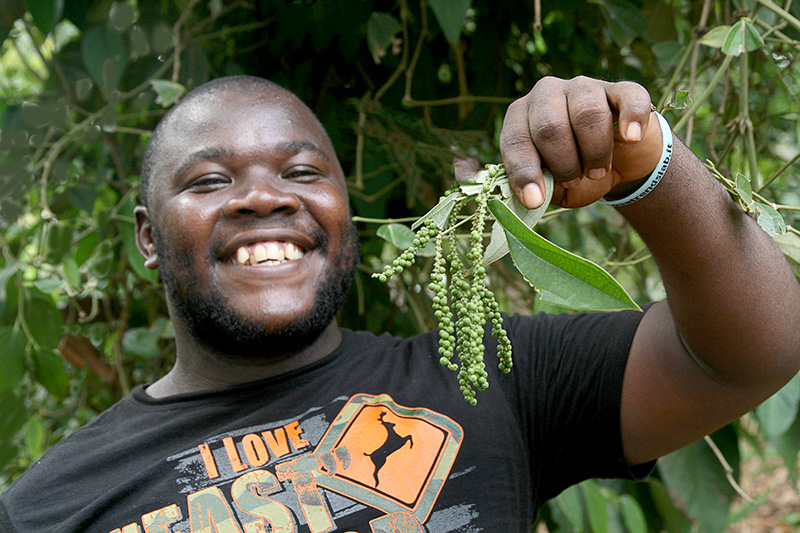 3A-Pepper on Zanzibar Spice Trail.jpg