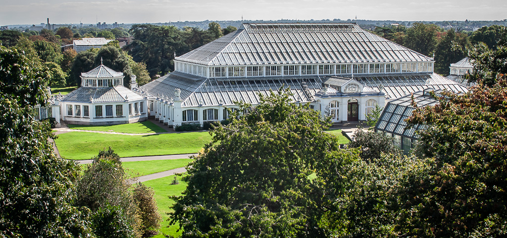 20080914 0049 Temperate House from the Treetop Walkway.jpg