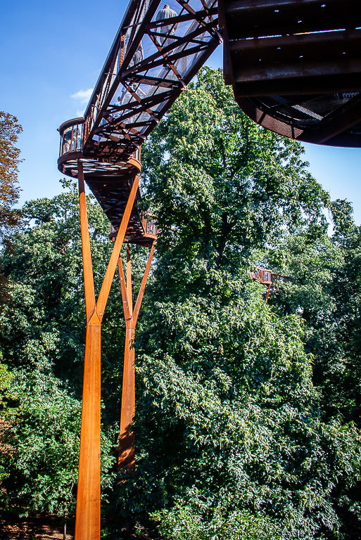 20080914 0008 The Rhizotron Treetop Walkway.jpg