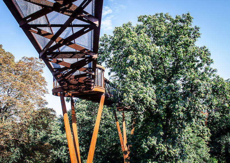 20080914 0009 The Rhizotron Treetop Walkway.jpg