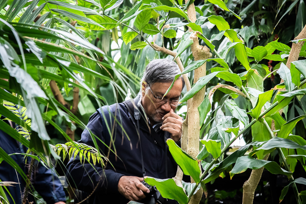 20161108 7D2 0027 Iggy at Kew Gardens.jpg