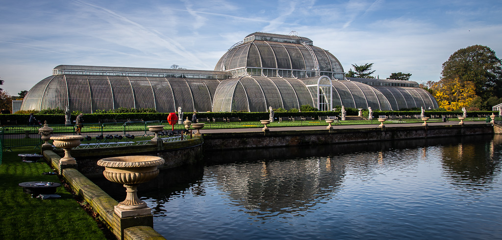 20131113 1DX 0005 Palm House Kew Gardens.jpg