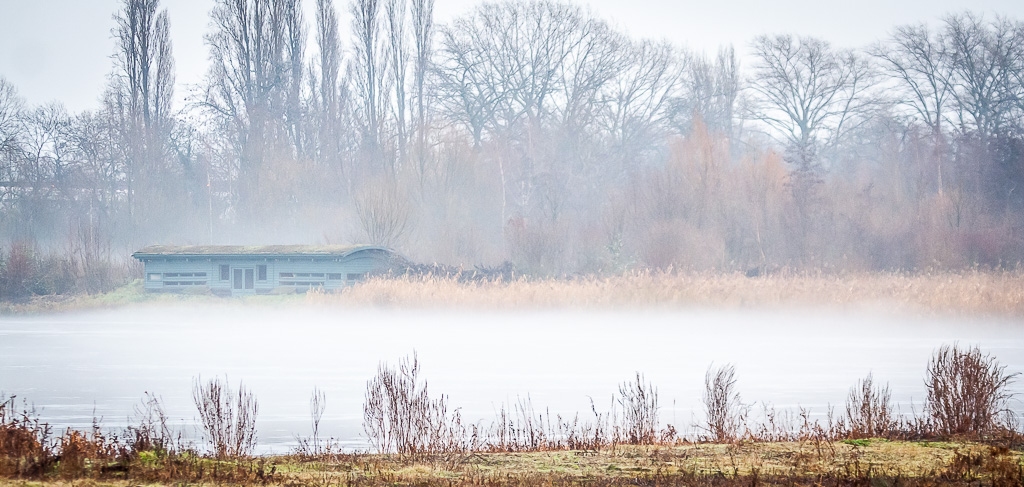 20101228 0035 London Wetlands.jpg