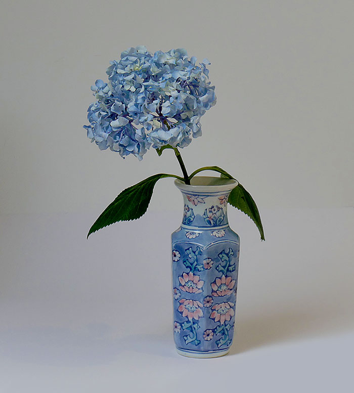 1-Blue Hydrangea 700-c.jpg