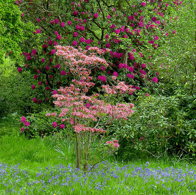 1-Colours of Spring Fix SQ.jpg