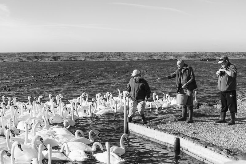 Release (2 of 35).jpg